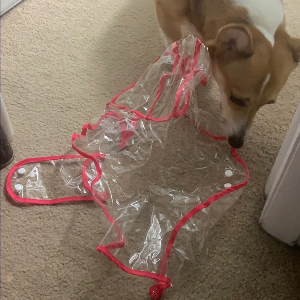 Dog rain coat